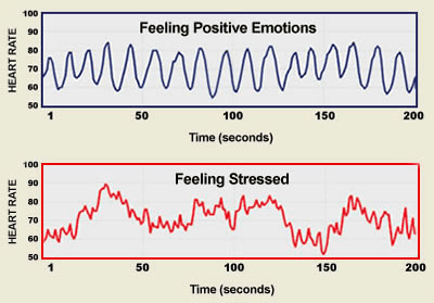 Heart Rate Variability